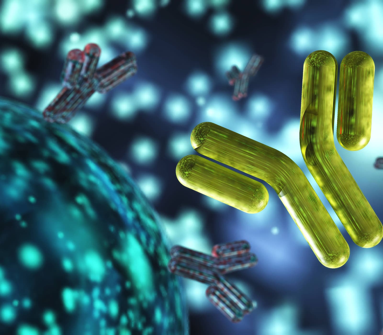 Enzo biologics development solutions — protein characterization and potency assays