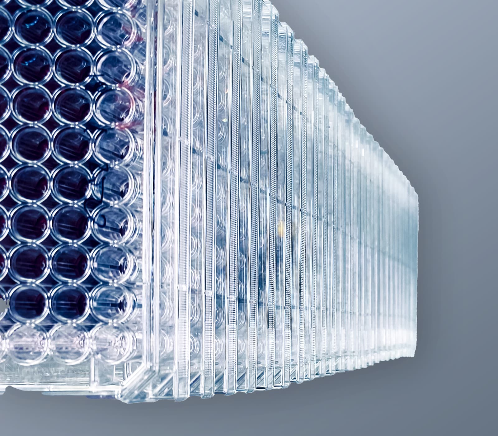 Enzo HTS and HCS screening solutions — compound libraries and detection reagents
